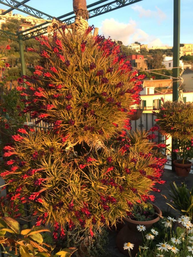 Le Case Di Rosella Vico Equense Exterior foto